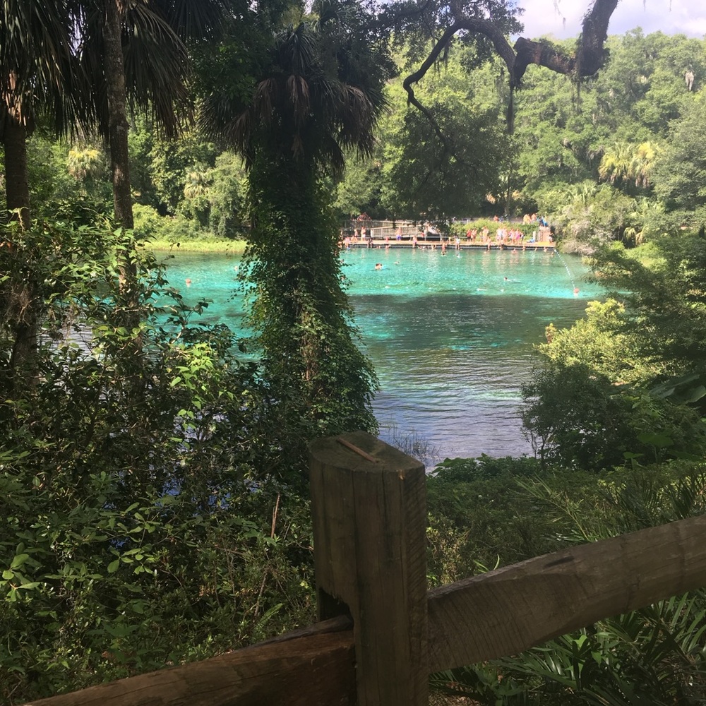 Meet your Posher, Maisha